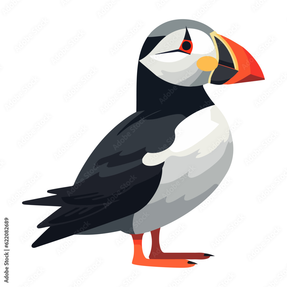 Obraz premium Cute puffin bird, vector isolated