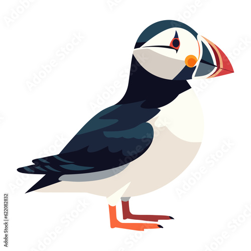 Cute puffin bird exotic animal icon