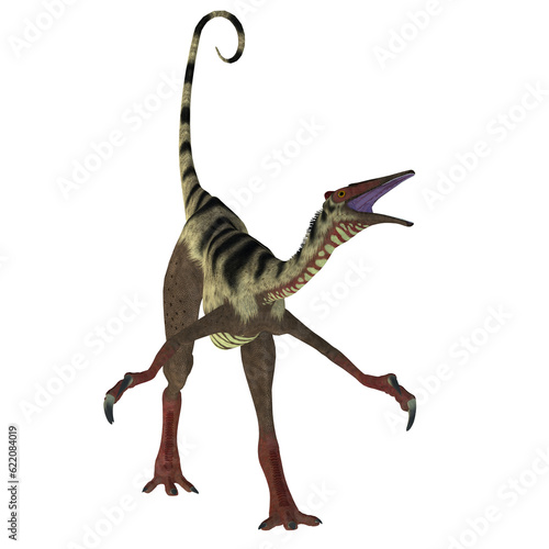 Pelecanimimus was a carnivorous theropod dinosaur that lived in the Cretaceous Period of Spain. © Designpics