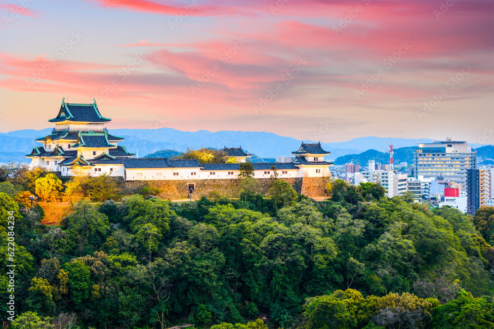 Wakayama, Japan Castle and downtown cityscape.