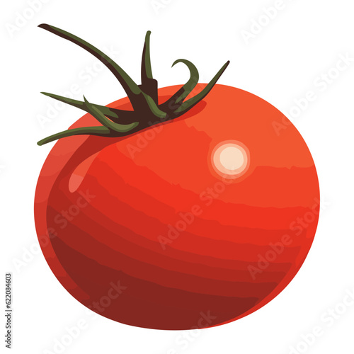 Fresh organic tomato, ripe and juicy