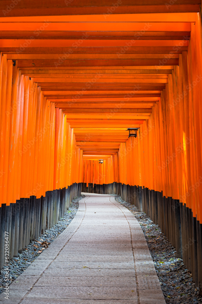 Fushimi Inari Taisha Shrine torii gates in Kyoto, Japan. Fushimi Inari Taisha Shrine torii gates in Kyoto, Japan.
