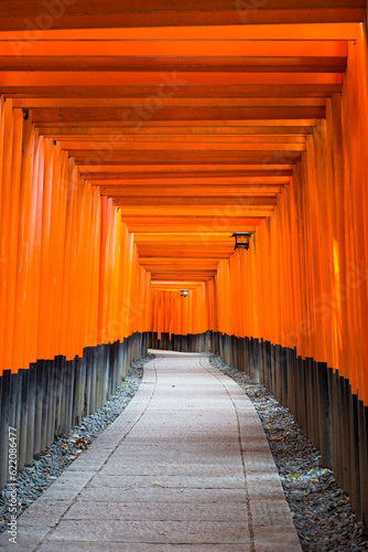 Fushimi Inari Taisha Shrine torii gates in Kyoto  Japan.
