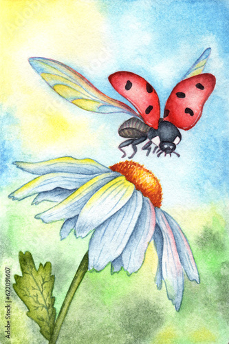 Watercolor illustration of a ladybug flying over a camomile. Great pattern for kitchen  home decor  stationery  wedding invitations and clothing printing. White flower with red insect.