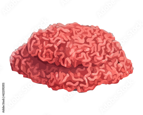 fresh ground meat meal on white background