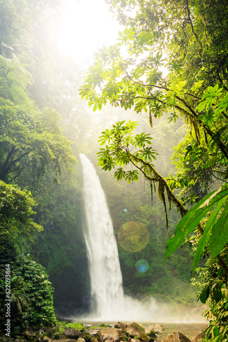 Fotografering A waterfall plumits into a deep gorge of a tropical rainforest and flows downstram with lush green vegetation surrounding