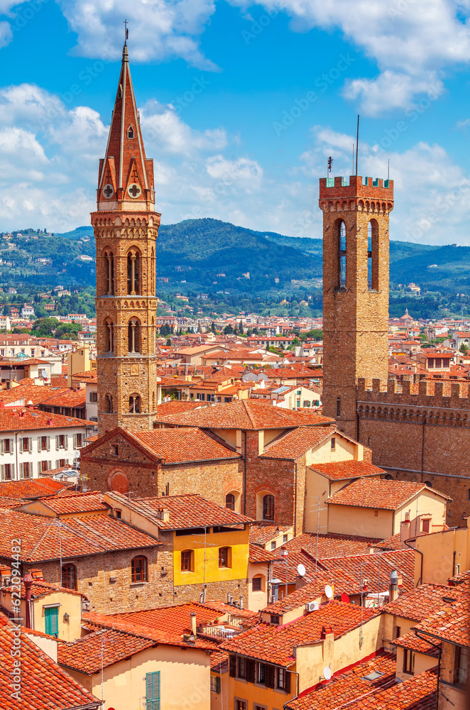 Obraz premium Tower of Palazzo Vecchio in Florence top view to tile roofs of old town. Blue mountains landscape on background. Italy.