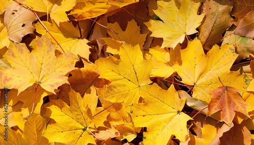 Maple leaves background  autumn background  Generative AI