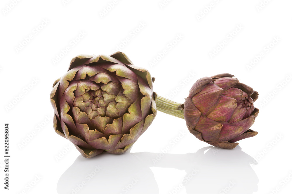 Obraz premium Artichoke isolated on white background. Culinary art, healthy eating, fresh vegetable.