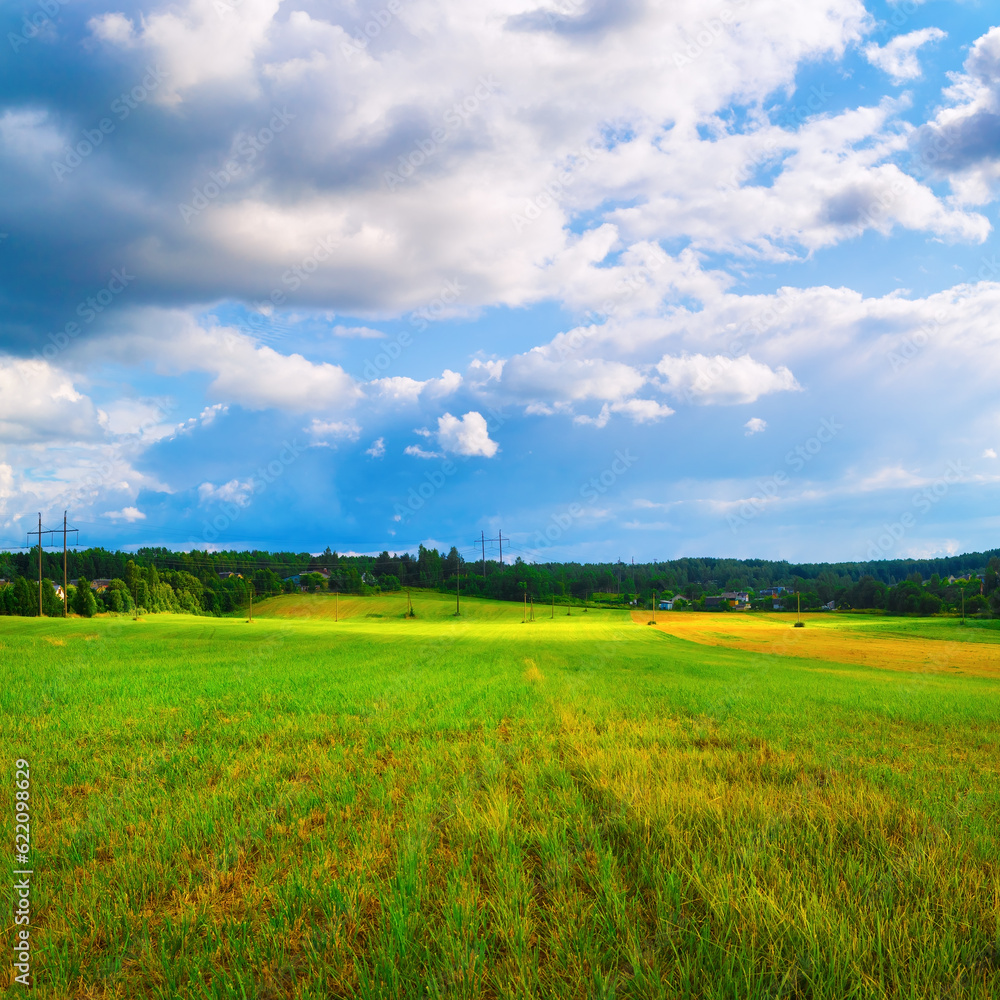 Fototapeta premium Bright sunny day in the countryside. Rural landscape. Blue sky with cumulus clouds and a field of green grass.