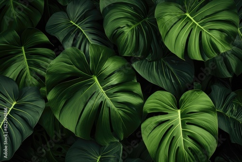 background of tropical green leaves. ai generative