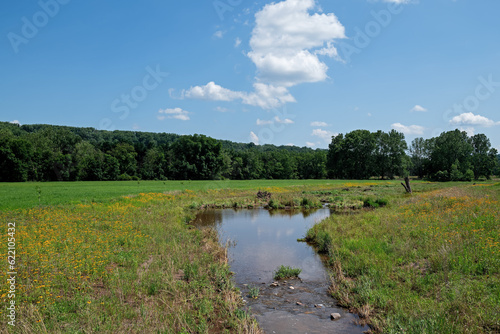 Fotografija Tributary to a stream having undergone streambank restoration and stabilization on a warm sunny summer day