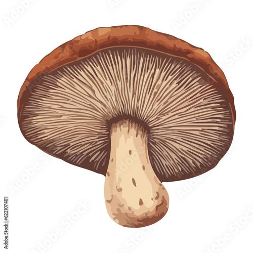 Autumn forest harvest gourmet mushrooms