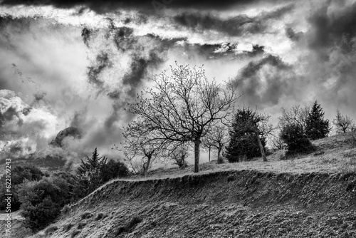 Winter Black and White photo of cloudy dramatic sky with trees