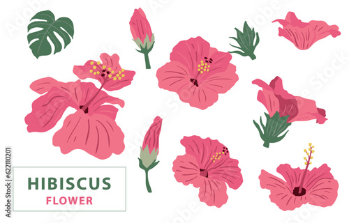 flower collection with pink hibiscus element.Vector illustration for icon,sticker,printable