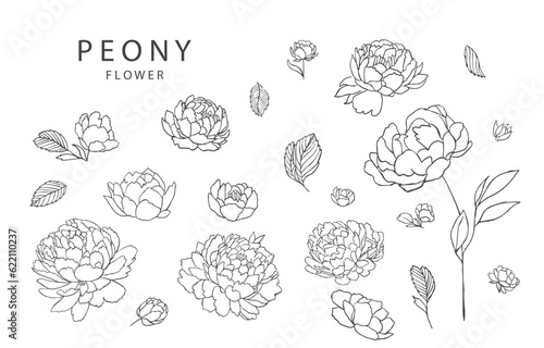 flower collection with line peony element.Vector illustration for icon,sticker,printable,tattoo