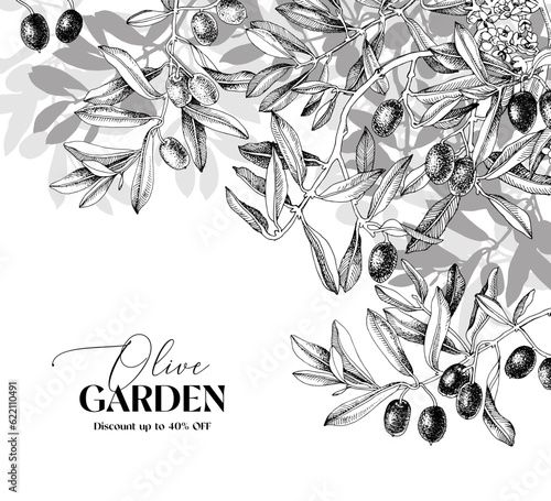 Monochrome garden background with olives branches