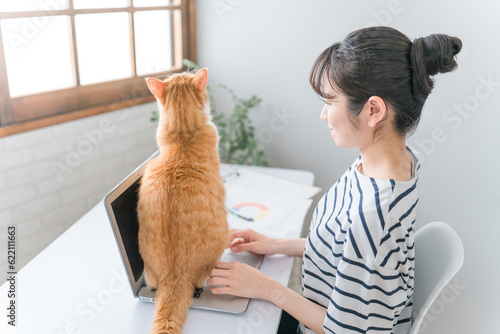 在宅勤務の仕事の邪魔をする猫とテレワークする女性(ネコハラ)
 photo