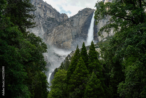 Yosemite National Park  California  USA.