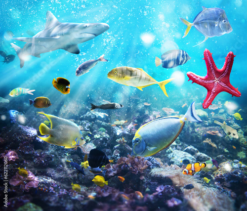 Colourful fish and marine vegetation undersea with sunray