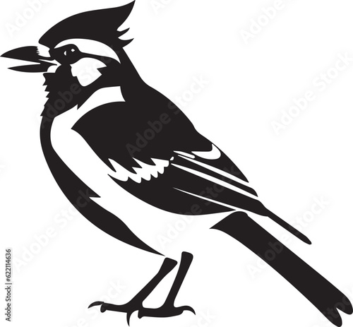 Blue Jay Black And White, Vector Template  for Cutting and Printing
