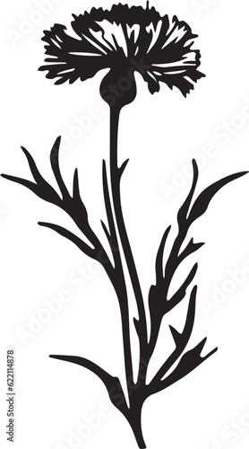 Dianthus Black And White, Vector Template Set for Cutting and Printing