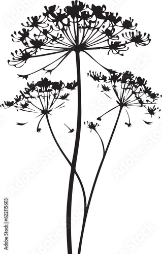 Queen Annes Lace Black And White, Vector Template Set for Cutting and Printing