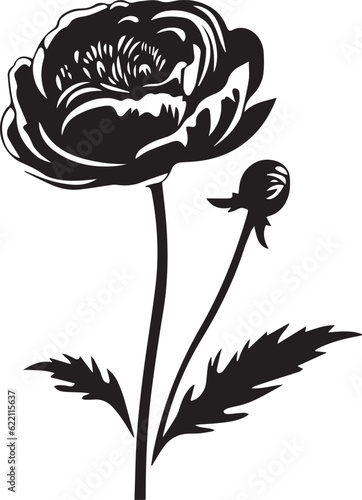 Ranunculus Black And White, Vector Template Set for Cutting and Printing