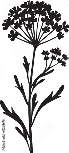 Statice Black And White, Vector Template Set for Cutting and Printing