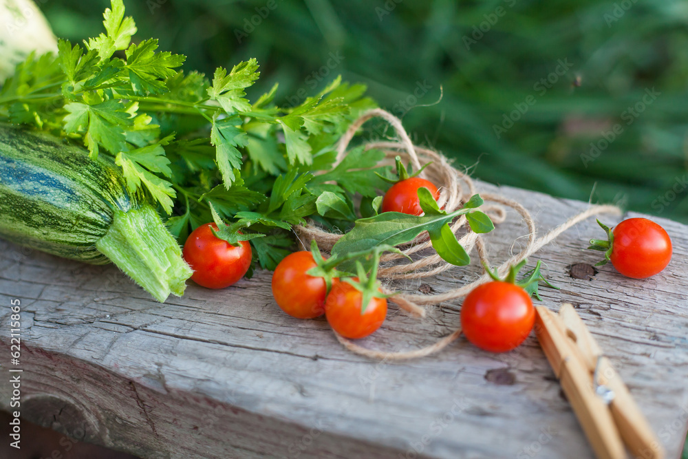 harvest of vegetables and greens in a garden on wood background harvest of vegetables and greens in a garden on wood background