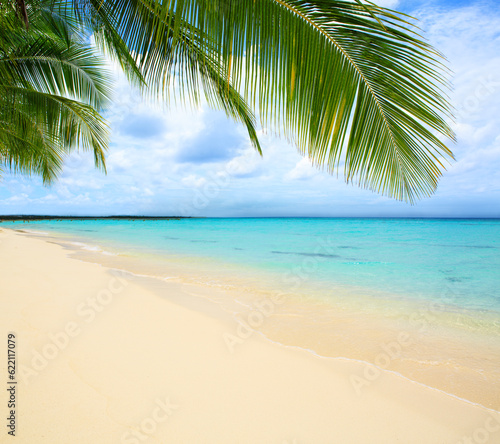 Beautiful caribbean sea and green palm leaves . Sommer ocean landscape as background.