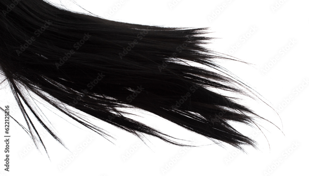 Long straight Wig hair style fly fall explosion. Black woman wig wave hair float in mid air. Straight black curl wig hair wind blow cloud throw. White background isolated high speed freeze motion Long straight Wig hair style fly fall explosion. Black woman wig wave hair float in mid air. Straight black curl wig hair wind blow cloud throw. White background isolated high speed freeze motion