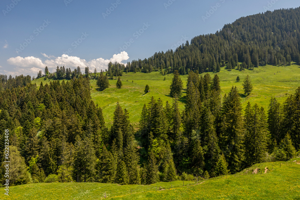 Rigi Scheidegg - ein Berggipfel des Rigi-Massivs am Vierwaldstättersee in der Schweiz