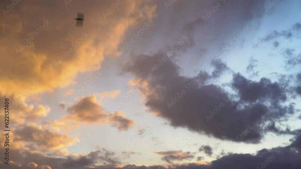 Birds fly against the backdrop of beautiful clouds Birds fly against the backdrop of beautiful clouds