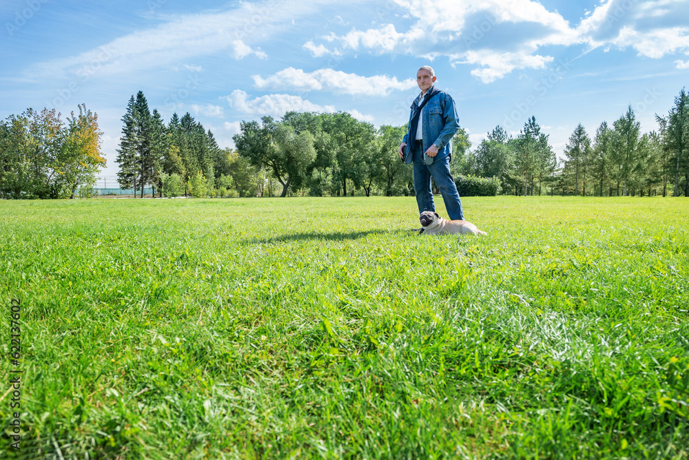 a man walks with a pug in the park on the lawn on a warm sunny day a man walks with a pug in the park on the lawn on a warm sunny day