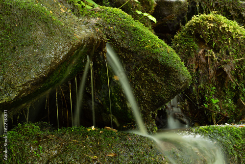 фотографія a thin but strong tinkle of H2O squirts down a slippery mossy rock as it cascade