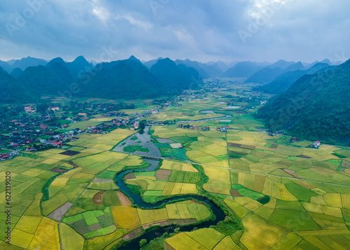 Ripen rice fields in Bac Son valley, Vietnam
