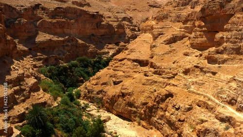 Aerial: Drone Panning Over Plants Amidst Cliff On Sunny Day - Judaean Desert, Israel photo