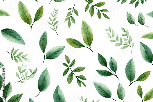 green leaves on white background