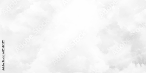 Horizontal view gray sky. Gray sky with white clouds. White sky wallpaper in vector