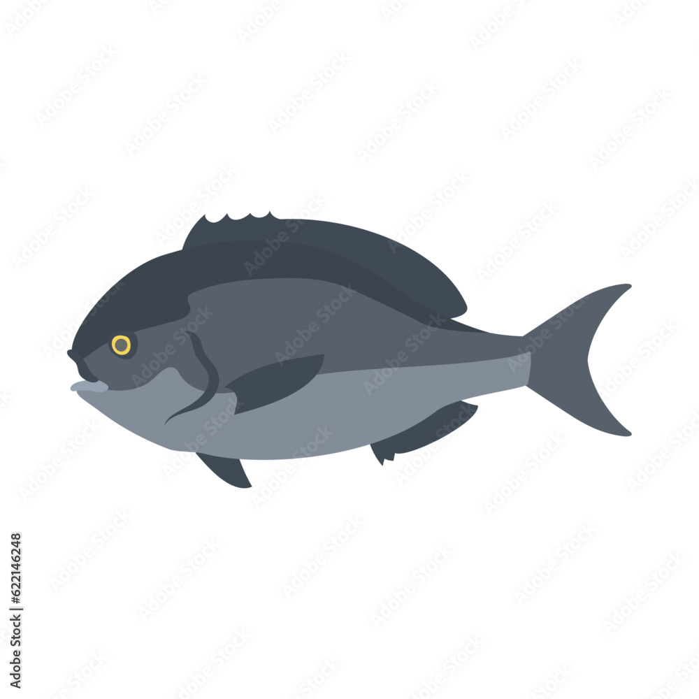 クロメジナ(尾長グレ)。フラットなベクターイラスト。
Smallscale blackfish. Flat designed vector illustration. クロメジナ(尾長グレ)。フラットなベクターイラスト。
Smallscale blackfish. Flat designed vector illustration.