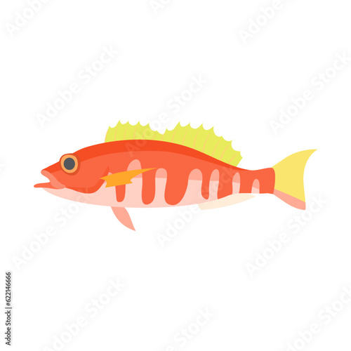 ヒメコダイ。フラットなベクターイラスト。
Sea-perch. Flat designed vector illustration.