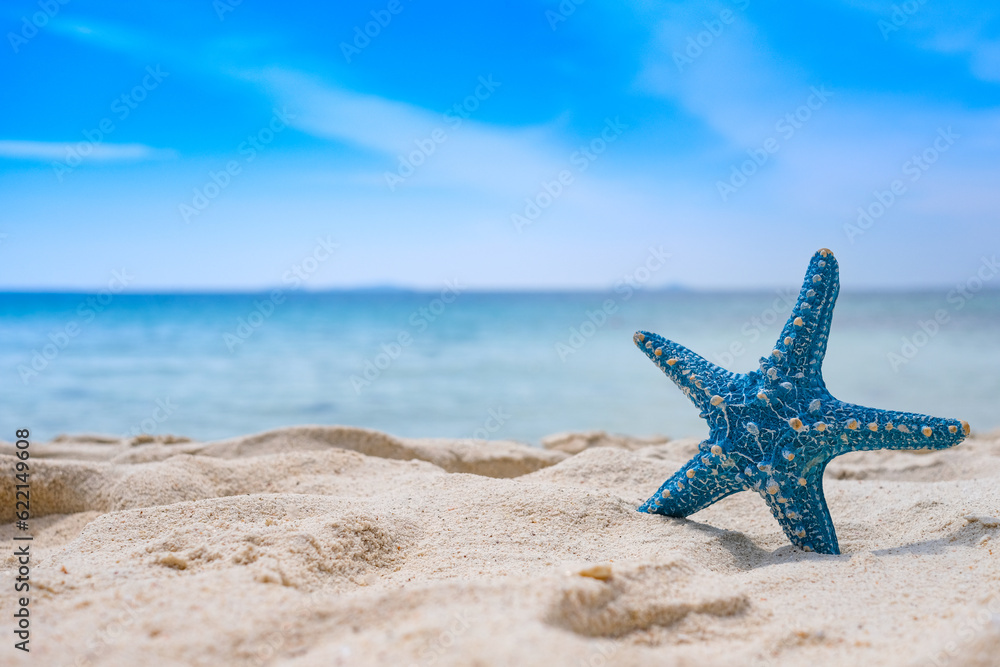 Starfish on beach sand background for summer vacation concept. Beach nature and summer seawater with sunlight light sandy beach Sparkling sea water Starfish on beach sand background for summer vacation concept. Beach nature and summer seawater with sunlight light sandy beach Sparkling sea water
