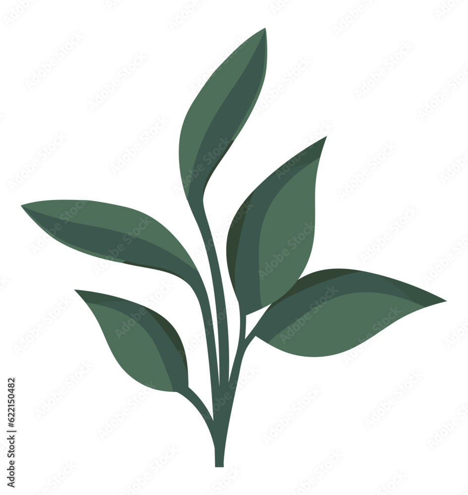 Fresh green leaves Fresh green leaves