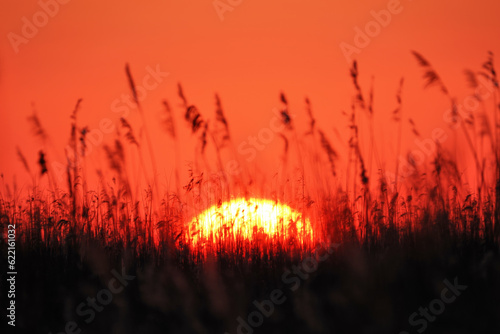 A beautiful sunrise in southern Denmark at springtime