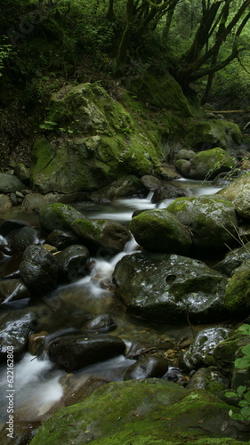 stream in the mountains