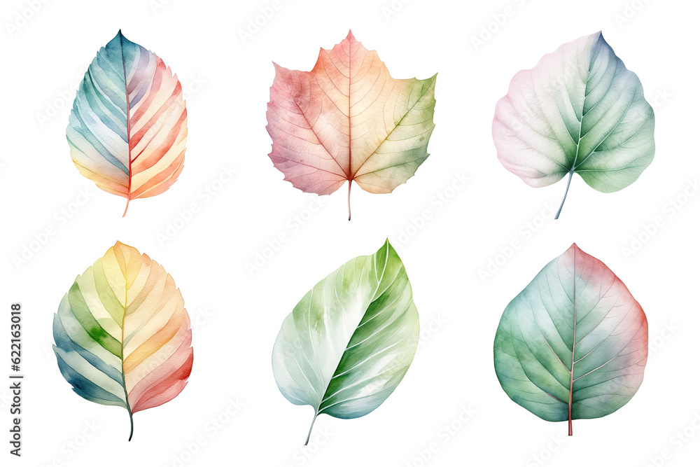 Obraz premium colorful watercolor pastel leaves elements collection isolated on transparent background