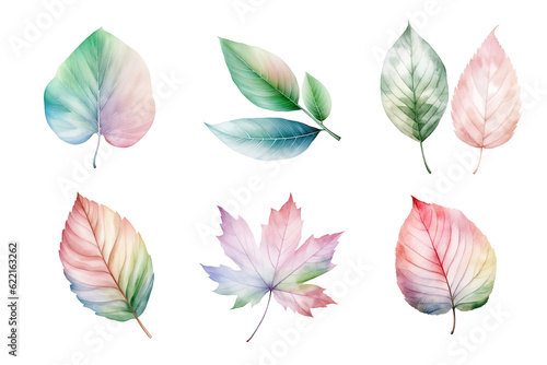 colorful watercolor pastel leaves elements collection isolated on transparent background © degungpranasiwi