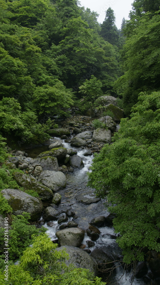 stream in the mountains stream in the mountains