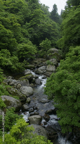 stream in the mountains